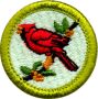 Bird Study merit badge