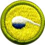 Chemistry merit badge